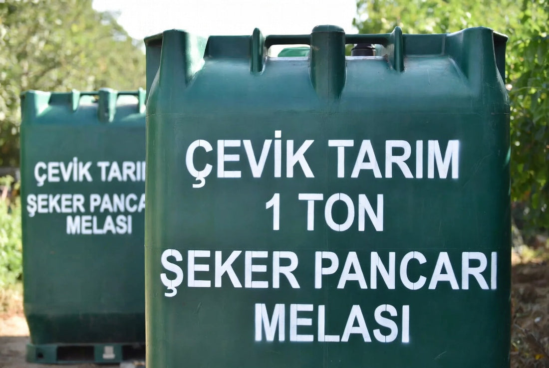 Şeker Pancarı Melası Nedir? Faydaları, Kullanım Alanları ve Pratik Öneriler (2026 Güncel)