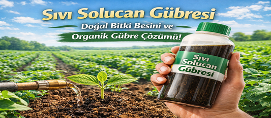 Sıvı Solucan Gübresi Nedir? Faydaları, Kullanımı ve Doğal Tarıma Katkıları